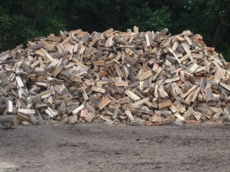Firewood For Sale, Tree Removal, Tree Services New Jersey- American Tree Service - wood_123